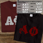 Alpha Phi T-Shirt, Printed 10 Fonts, 2-Pack Bundle Deal - G500 - CAD