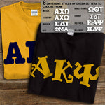 Alpha Kappa Psi T-Shirt, Printed 10 Fonts, 2-Pack Bundle Deal - G500 - CAD