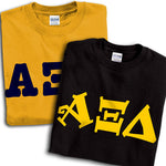 Alpha Xi Delta T-Shirt, Printed 10 Fonts, 2-Pack Bundle Deal - G500 - CAD