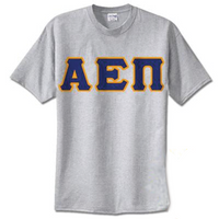 Alpha Epsilon Pi Standards T-Shirt - $17.95 Gildan 5000 - TWILL