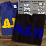 Alpha Epsilon Pi T-Shirt, Printed 10 Fonts, 2-Pack Bundle Deal - G500 - CAD
