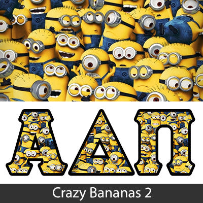 Fraternity Panoramic Printed Long-Sleeve Tee - Jerzees 21ML - SUB