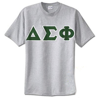Delta Sigma Phi Standards T-Shirt - G500 - TWILL