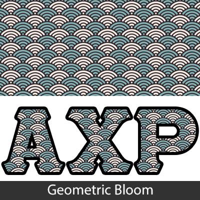 Sorority Bid Day Package -  Panoramic Pattern Printed Tee and Paddle Keychain - Jerzees 21MR - SUB