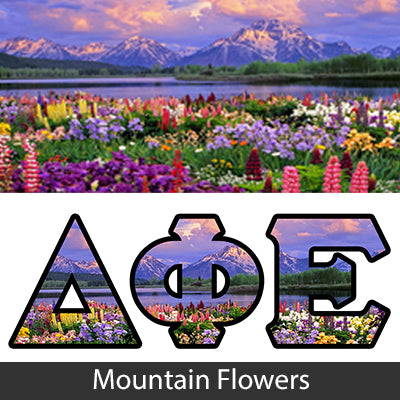 Sorority Bid Day Package -  Panoramic Pattern Printed Tee and Paddle Keychain - Jerzees 21MR - SUB