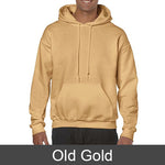 Delta Sigma Pi Hooded Sweatshirt, 2-Pack Bundle Deal - Gildan 18500 - TWILL