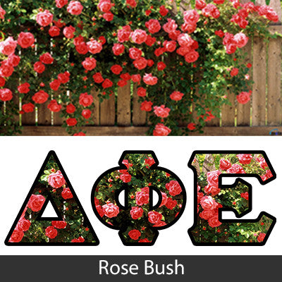 Fraternity Panoramic Printed Long-Sleeve Tee - Jerzees 21ML - SUB