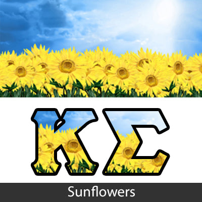 Sorority Bid Day Package -  Panoramic Pattern Printed Tee and Paddle Keychain - Jerzees 21MR - SUB