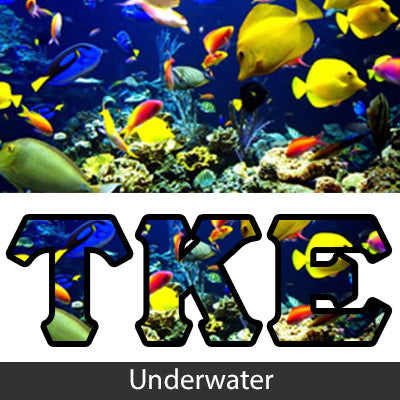 Fraternity Panoramic Printed Long-Sleeve Tee - Jerzees 21ML - SUB