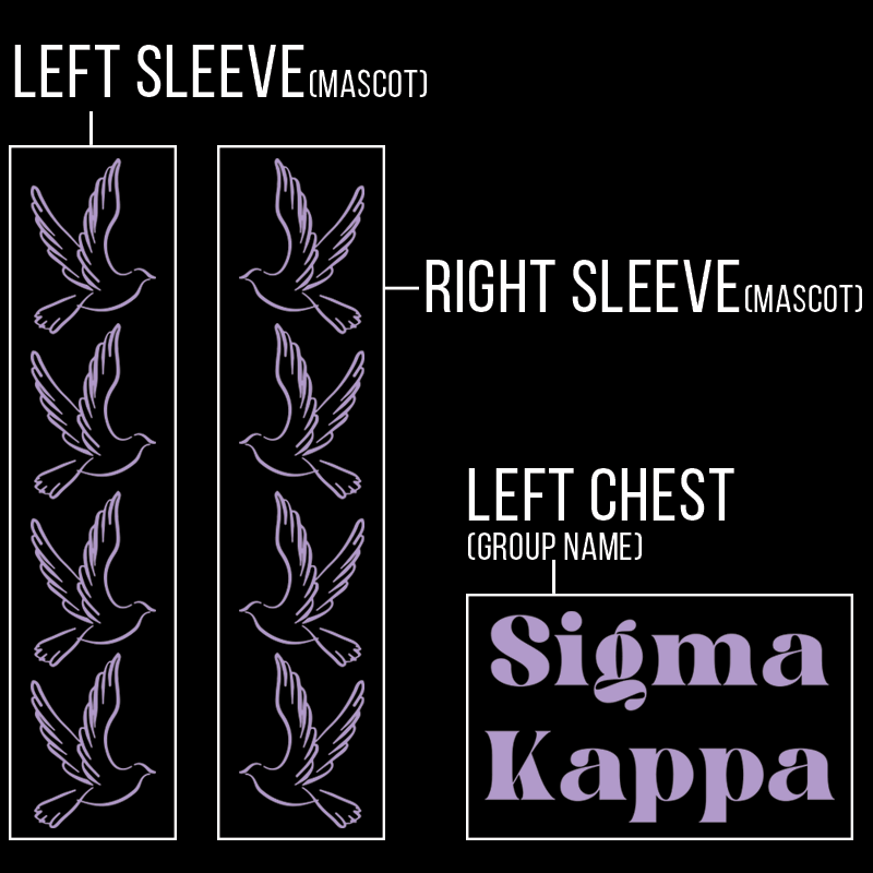 Greek Fleece Pullover Hooded Sweatshirt, Printed Sleeve Mascot Design - Limited Supply - CAD