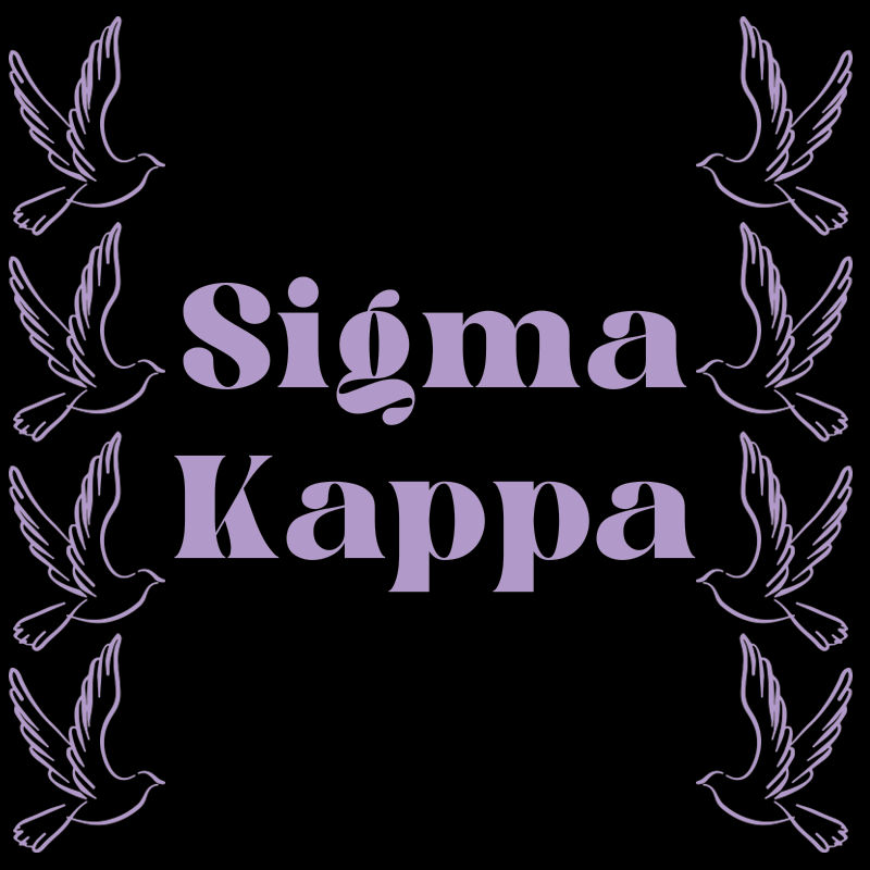 Greek Fleece Pullover Hooded Sweatshirt, Printed Sleeve Mascot Design - Limited Supply - CAD